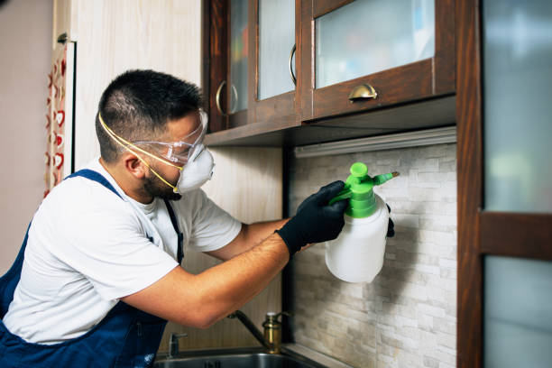 Best Termite Control Services  in Norwalk, CA