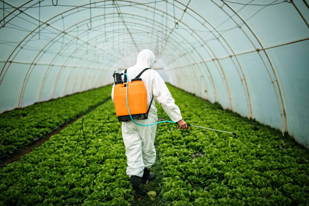 Best Pest Control for Businesses  in Norwalk, CA