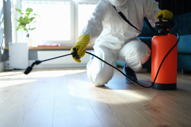 Professional Pest Control in Norwalk, CA
