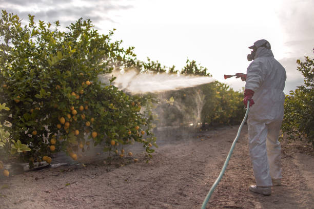 Pest Prevention Services in Norwalk, CA