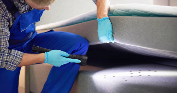 Best Insect Control  in Norwalk, CA