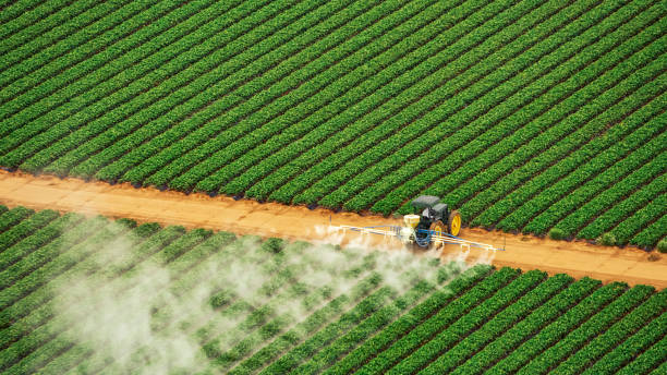 Best Mosquito Control Services  in Norwalk, CA
