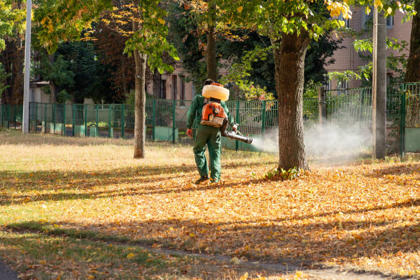 Best Commercial Pest Control Services  in Norwalk, CA
